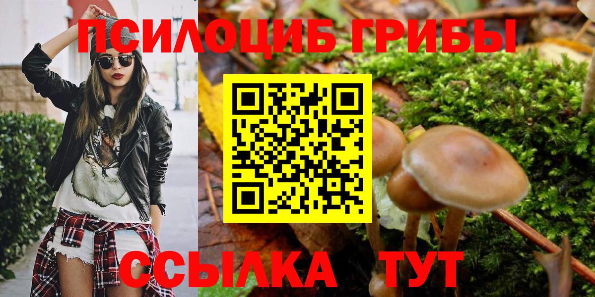 Псилоцибиновые грибы мицелий Каменск-Уральский